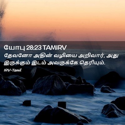 Picture 02 - யோபு 28:23 TAMIRV - தேவனோ அதின் வழியை - Bible Verse Picture