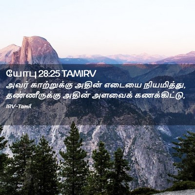Picture 02 - யோபு 28:25 TAMIRV - அவர் காற்றுக்கு - Bible Verse Picture