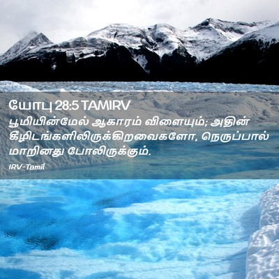 Picture 02 - யோபு 28:5 TAMIRV - பூமியின்மேல் - Bible Verse Picture