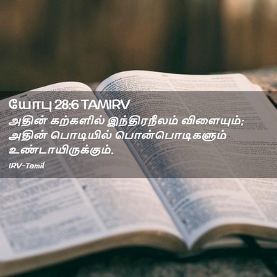 Picture 02 - யோபு 28:6 TAMIRV - அதின் கற்களில் - Bible Verse Picture