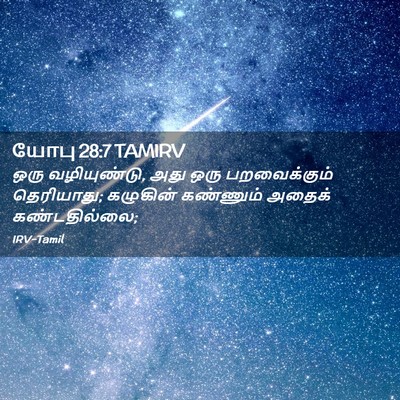 Picture 02 - யோபு 28:7 TAMIRV - ஒரு வழியுண்டு, அது - Bible Verse Picture