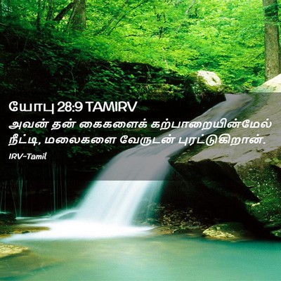 Picture 02 - யோபு 28:9 TAMIRV - அவன் தன் கைகளைக் - Bible Verse Picture