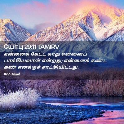 Picture 02 - யோபு 29:11 TAMIRV - என்னைக் கேட்ட - Bible Verse Picture