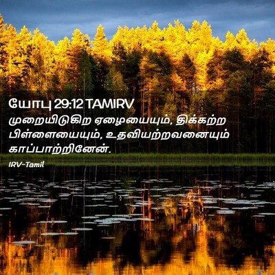 Picture 02 - யோபு 29:12 TAMIRV - முறையிடுகிற - Bible Verse Picture