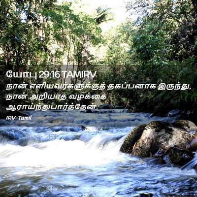 Picture 02 - யோபு 29:16 TAMIRV - நான் - Bible Verse Picture