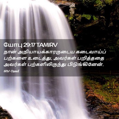 Picture 02 - யோபு 29:17 TAMIRV - நான் - Bible Verse Picture