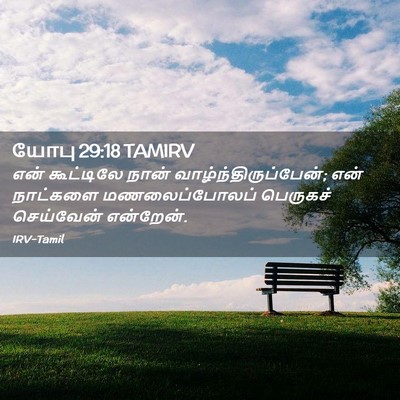Picture 02 - யோபு 29:18 TAMIRV - என் கூட்டிலே நான் - Bible Verse Picture