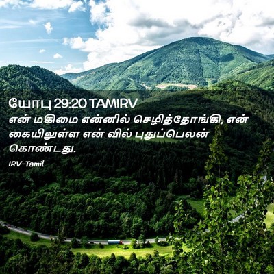 Picture 02 - யோபு 29:20 TAMIRV - என் மகிமை என்னில் - Bible Verse Picture
