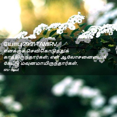 Picture 02 - யோபு 29:21 TAMIRV - எனக்குச் - Bible Verse Picture