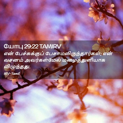 Picture 02 - யோபு 29:22 TAMIRV - என் பேச்சுக்குப் - Bible Verse Picture