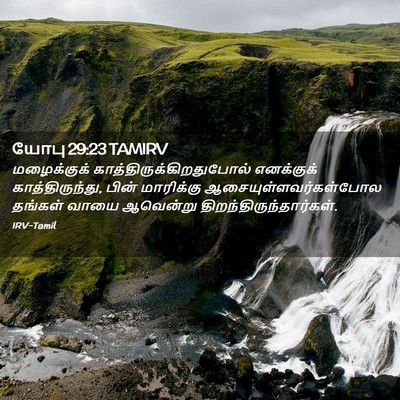 Picture 02 - யோபு 29:23 TAMIRV - மழைக்குக் - Bible Verse Picture