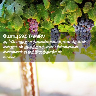 Picture 02 - யோபு 29:5 TAMIRV - அப்பொழுது - Bible Verse Picture
