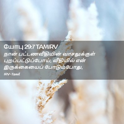 Picture 02 - யோபு 29:7 TAMIRV - நான் - Bible Verse Picture