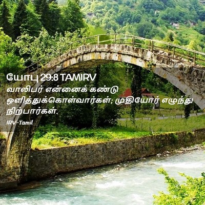 Picture 02 - யோபு 29:8 TAMIRV - வாலிபர் என்னைக் - Bible Verse Picture