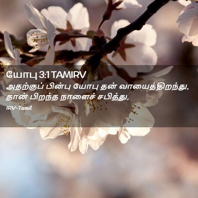 Picture 02 - யோபு 3:1 TAMIRV - அதற்குப் பின்பு - Bible Verse Picture
