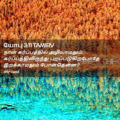 Picture 02 - யோபு 3:11 TAMIRV - நான் கர்ப்பத்தில் - Bible Verse Picture