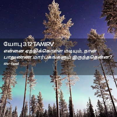 Picture 02 - யோபு 3:12 TAMIRV - என்னை - Bible Verse Picture