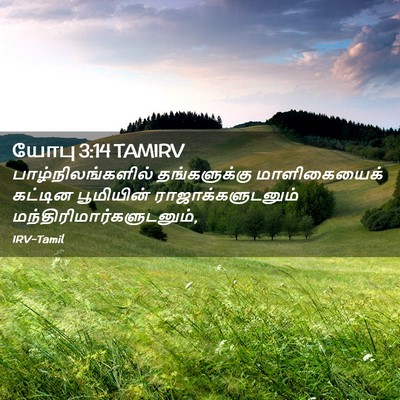 Picture 02 - யோபு 3:14 TAMIRV - பாழ்நிலங்களில் - Bible Verse Picture