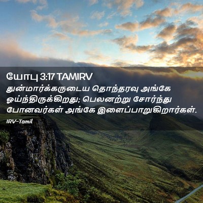 Picture 02 - யோபு 3:17 TAMIRV - துன்மார்க்கருடைய - Bible Verse Picture