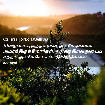 Picture 02 - யோபு 3:18 TAMIRV -  - Bible Verse Picture