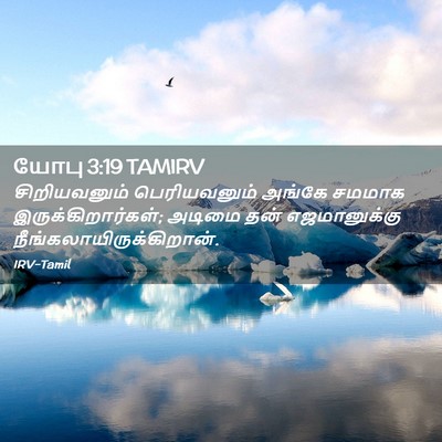 Picture 02 - யோபு 3:19 TAMIRV - சிறியவனும் - Bible Verse Picture
