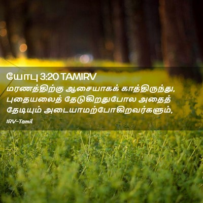 Picture 02 - யோபு 3:20 TAMIRV - மரணத்திற்கு - Bible Verse Picture