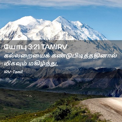 Picture 02 - யோபு 3:21 TAMIRV - கல்லறையைக் - Bible Verse Picture