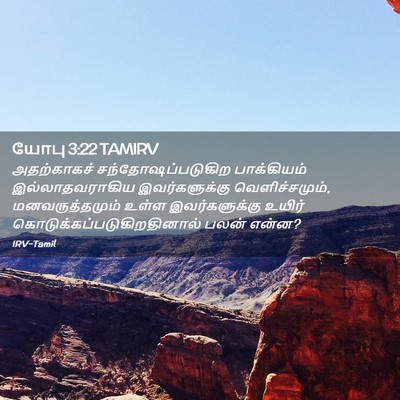 Picture 02 - யோபு 3:22 TAMIRV - அதற்காகச் - Bible Verse Picture