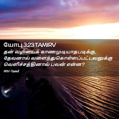 Picture 02 - யோபு 3:23 TAMIRV - தன் வழியைக் - Bible Verse Picture