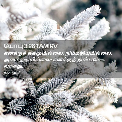 Picture 02 - யோபு 3:26 TAMIRV - எனக்குச் - Bible Verse Picture
