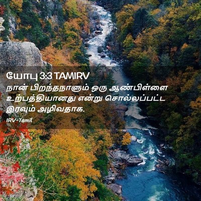 Picture 02 - யோபு 3:3 TAMIRV - நான் பிறந்தநாளும் - Bible Verse Picture