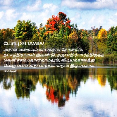 Picture 02 - யோபு 3:9 TAMIRV - அதின் மறையும் - Bible Verse Picture