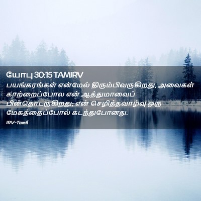 Picture 02 - யோபு 30:15 TAMIRV - பயங்கரங்கள் - Bible Verse Picture