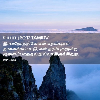 Picture 02 - யோபு 30:17 TAMIRV - இரவுநேரத்திலே என் - Bible Verse Picture