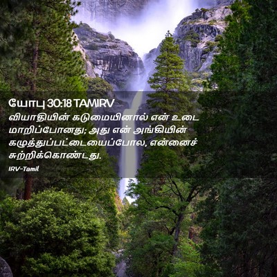 Picture 02 - யோபு 30:18 TAMIRV - வியாதியின் - Bible Verse Picture