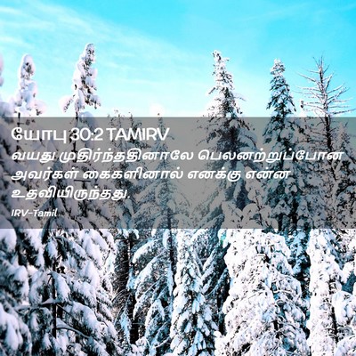 Picture 02 - யோபு 30:2 TAMIRV - வயது - Bible Verse Picture