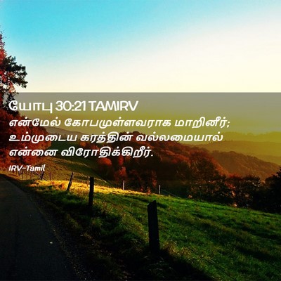 Picture 02 - யோபு 30:21 TAMIRV - என்மேல் - Bible Verse Picture