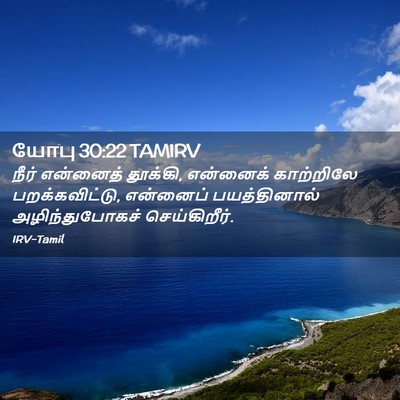 Picture 02 - யோபு 30:22 TAMIRV - நீர் என்னைத் - Bible Verse Picture