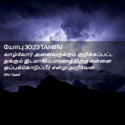 Picture 02 - யோபு 30:23 TAMIRV - வாழ்வோர் - Bible Verse Picture