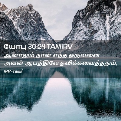 Picture 02 - யோபு 30:24 TAMIRV - ஆனாலும் நான் எந்த - Bible Verse Picture