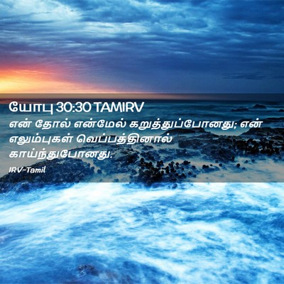 Picture 02 - யோபு 30:30 TAMIRV - என் தோல் என்மேல் - Bible Verse Picture