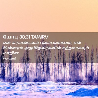 Picture 02 - யோபு 30:31 TAMIRV - என் சுரமண்டலம் - Bible Verse Picture