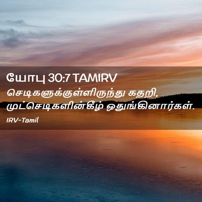 Picture 02 - யோபு 30:7 TAMIRV -  - Bible Verse Picture