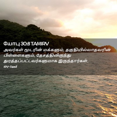 Picture 02 - யோபு 30:8 TAMIRV - அவர்கள் மூடரின் - Bible Verse Picture