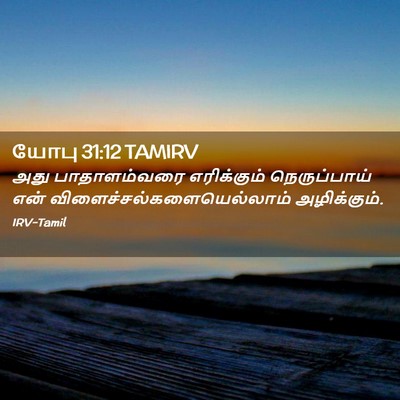 Picture 02 - யோபு 31:12 TAMIRV - அது பாதாளம்வரை - Bible Verse Picture