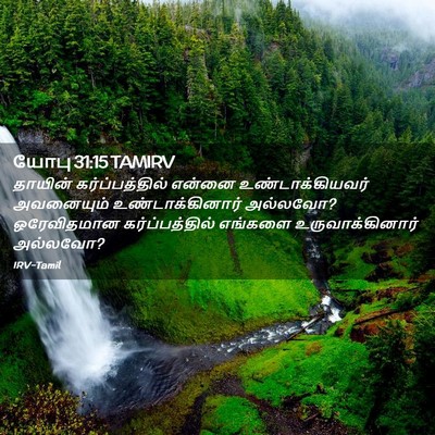 Picture 02 - யோபு 31:15 TAMIRV - தாயின் - Bible Verse Picture