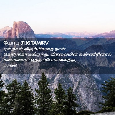 Picture 02 - யோபு 31:16 TAMIRV - ஏழைகள் - Bible Verse Picture