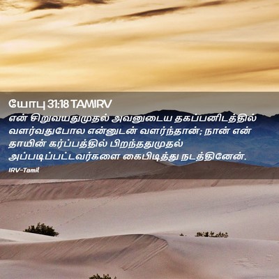 Picture 02 - யோபு 31:18 TAMIRV - என் சிறுவயதுமுதல் - Bible Verse Picture