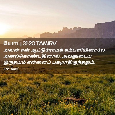 Picture 02 - யோபு 31:20 TAMIRV - அவன் என் - Bible Verse Picture