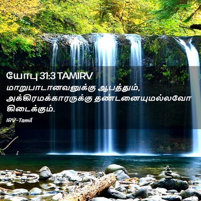 Picture 02 - யோபு 31:3 TAMIRV - மாறுபாடானவனுக்கு - Bible Verse Picture